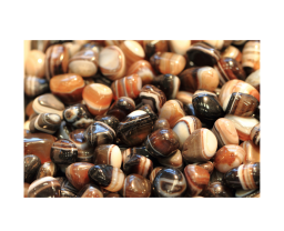 gata Botswana e as suas propriedades curativas