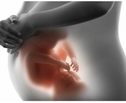 Reencarnao e aborto,  segundo o Espiritismo Kardecista