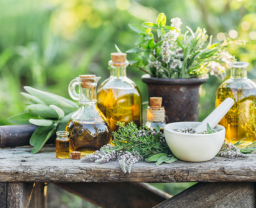 ERVAS MEDICINAIS E LEOS ESSENCIAIS